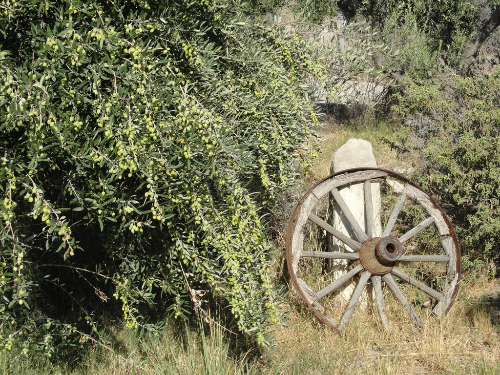 Villa Phaestias Καλαμάκι Εξωτερικό φωτογραφία